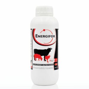 ENERGIFOR FL 1L - MEDIVET