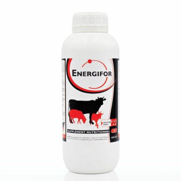 ENERGIFOR FL 1L - MEDIVET