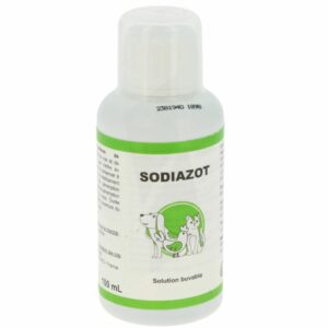 Sodiazot, Solution Buvable Chlorhydrate de lysine, Sorbitol 100mL
