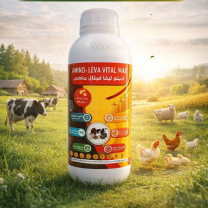 AMINO LEVA VITAL MAX