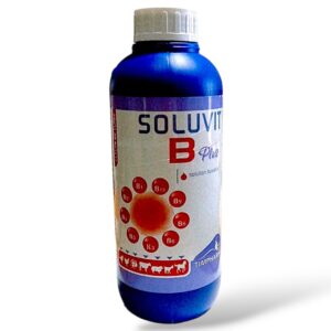 SOLUVIT B Plus SOLUTION VETERINAIRE 1L
